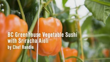 Vegetable Sushi with Srircha Aioli