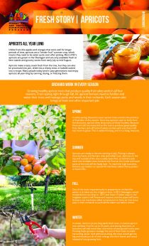 2020 Fresh Story - Apricots - Intermediate