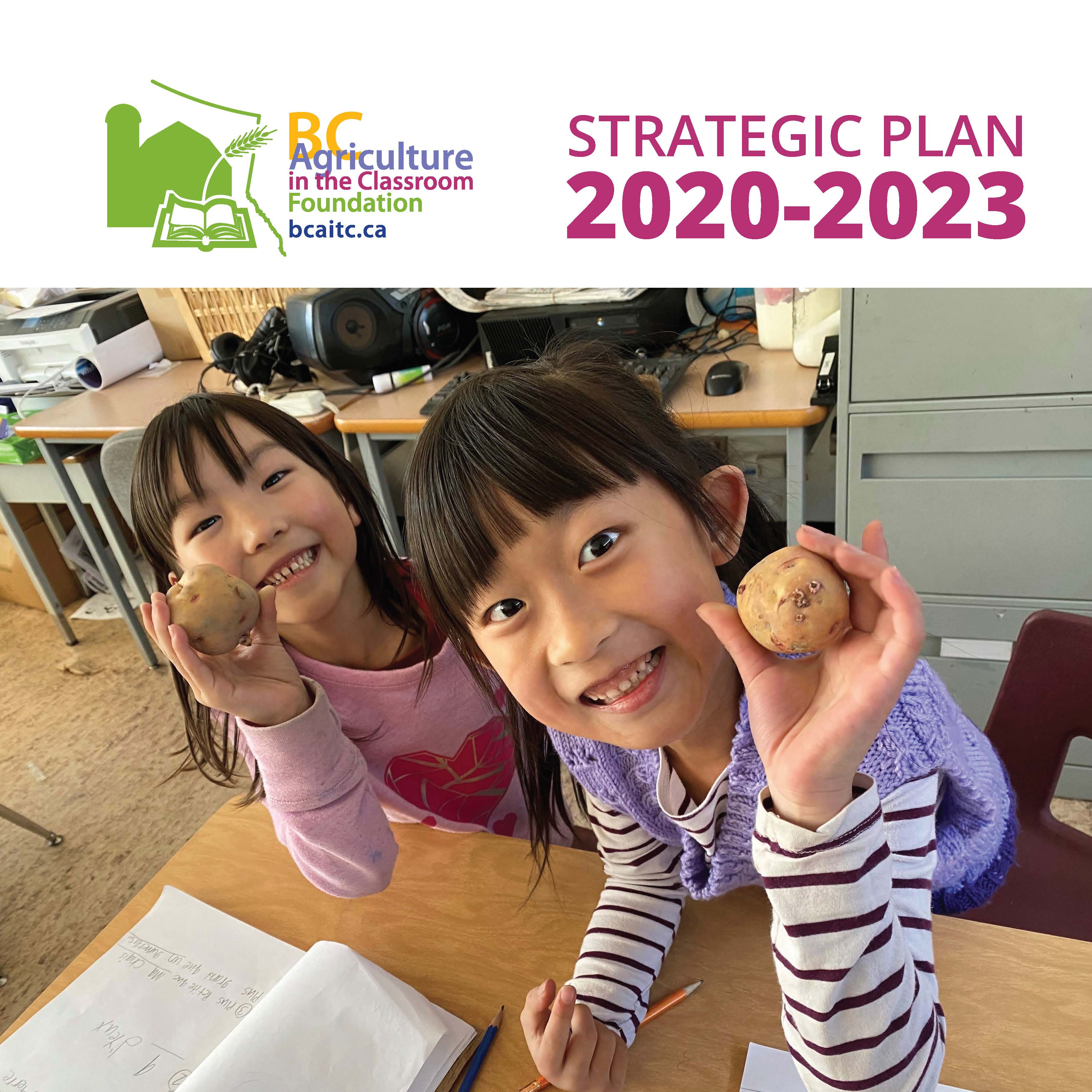 Strategic Plan 2020-2023