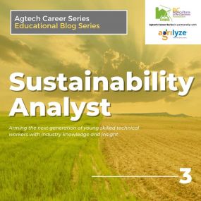 Sustainability Analyst