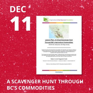 A Scavenger Hunt Through BC's Commodities