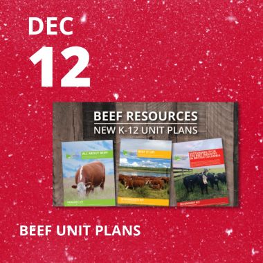 Beef Unit Plans