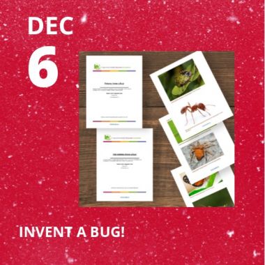 Invent a Bug