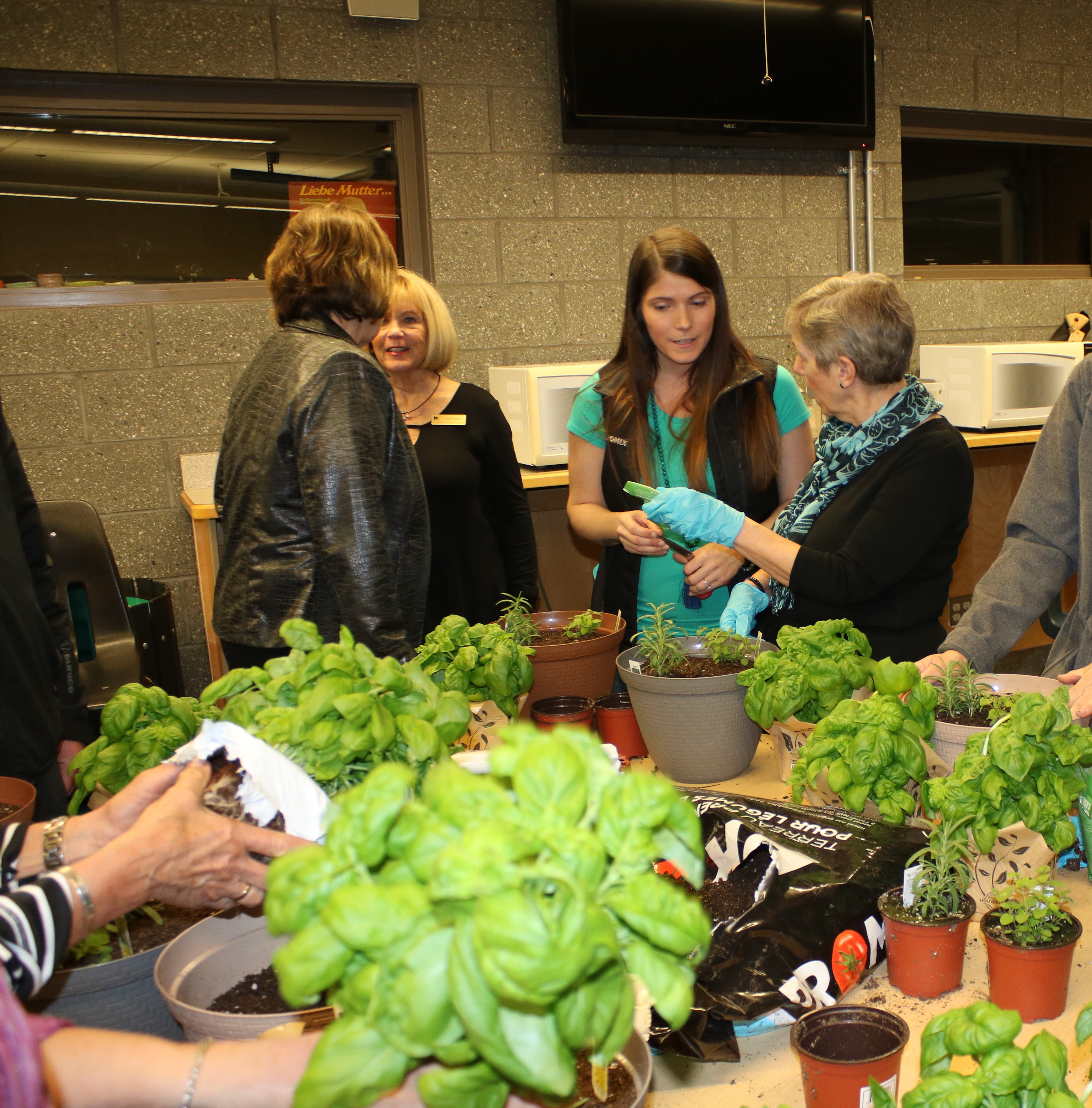 Herb Workshop