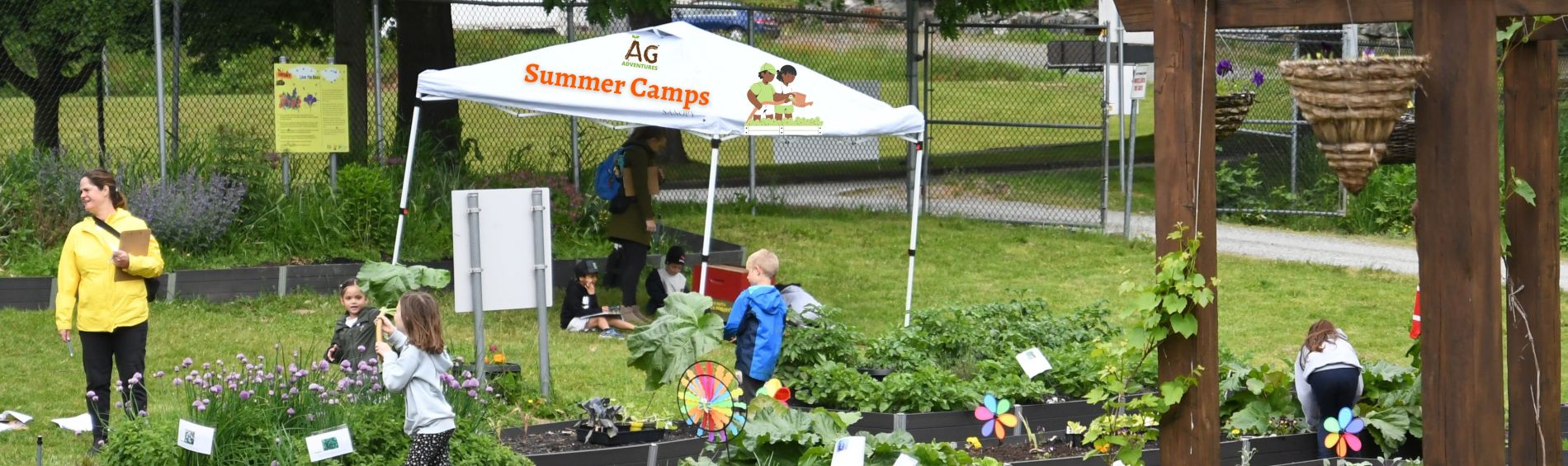 Summer Camps - Flowers and Pollinators