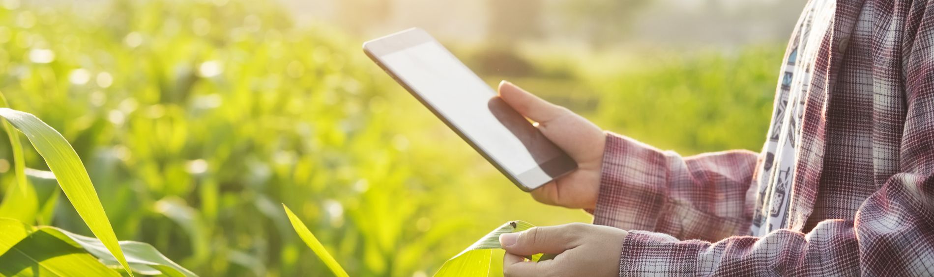 Agrilyze Introduces Students to Top Career Picks