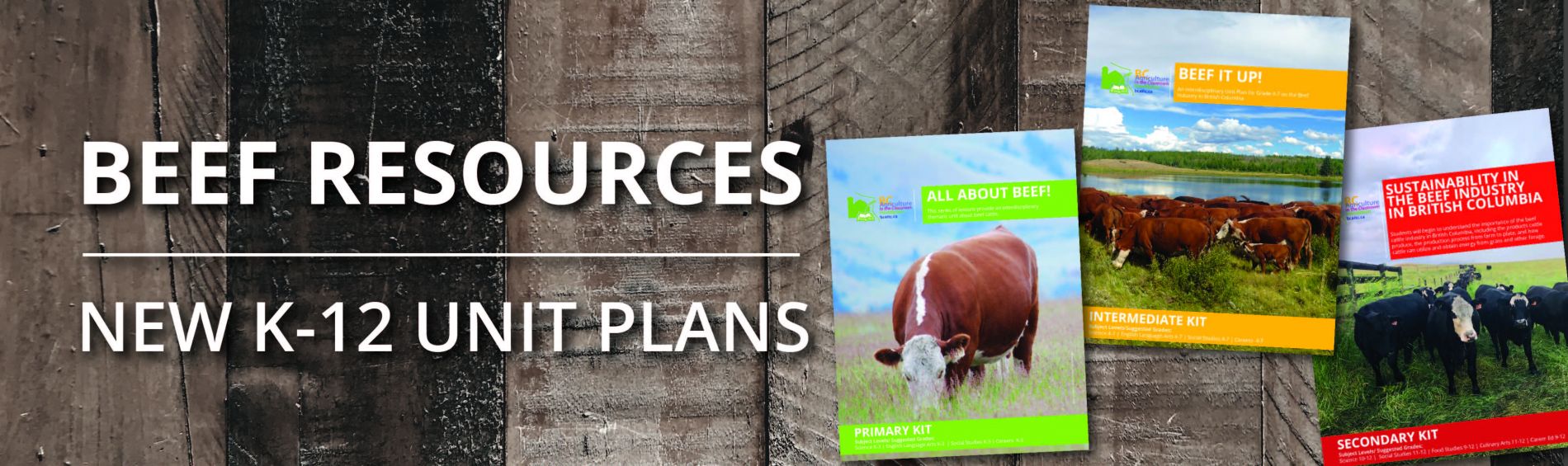 New - Beef Resources