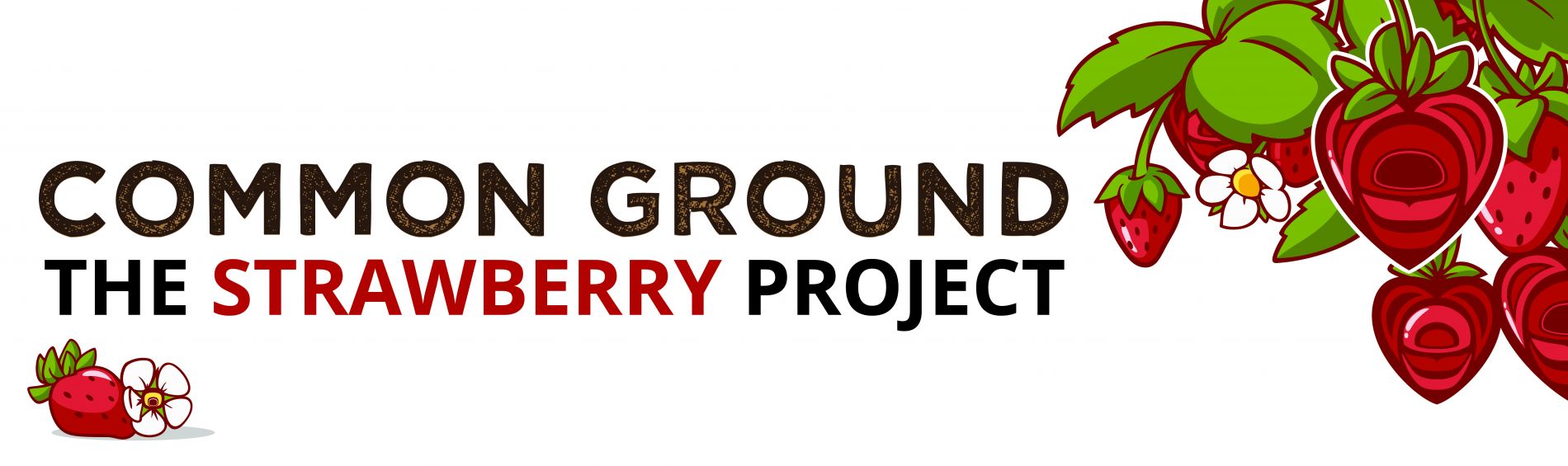 Common Ground: The Strawberry Project