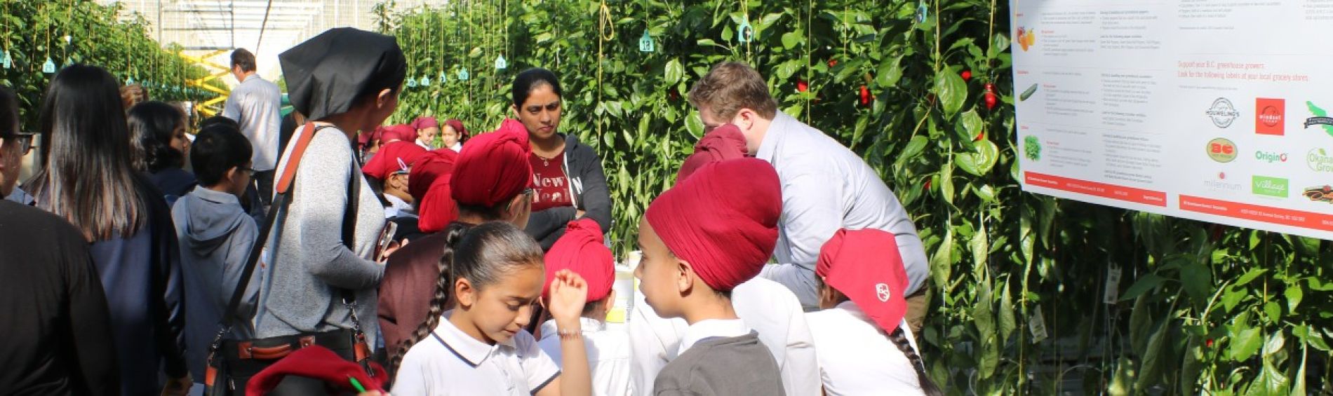 Greenhouse Veggie Days Tours 2020