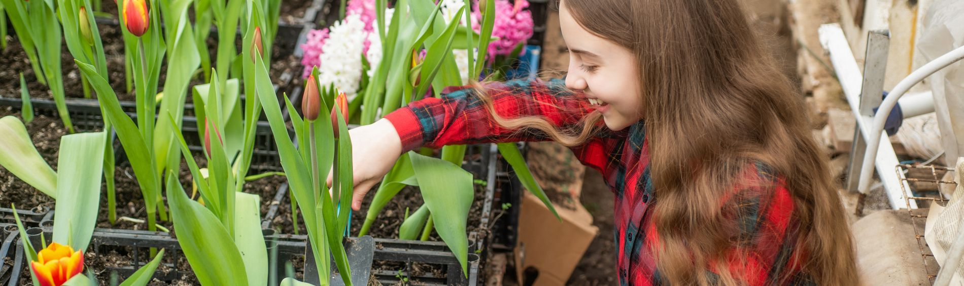 Find Your Summer Job in the Horticulture Industry
