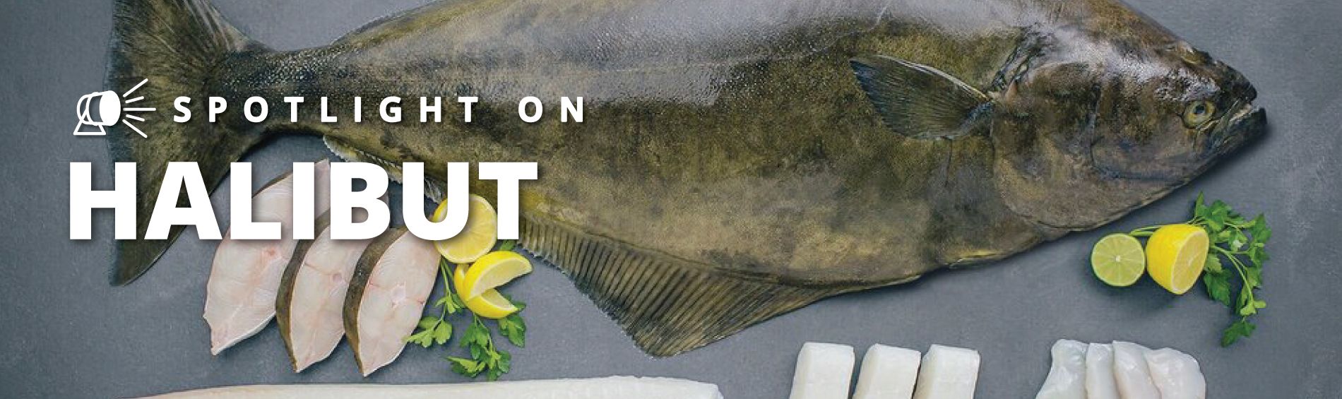 Spotlight Series on Halibut