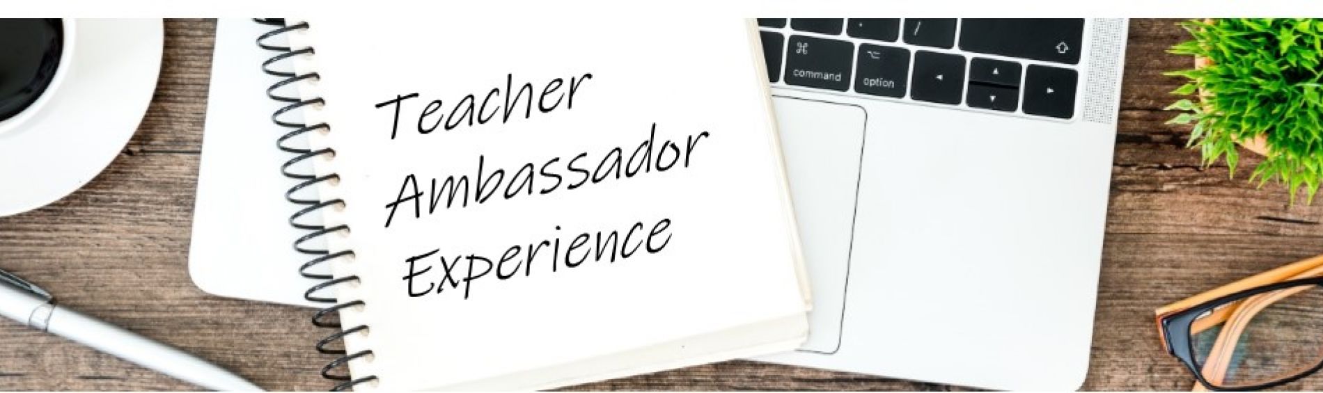 Teacher Ambassador Experience