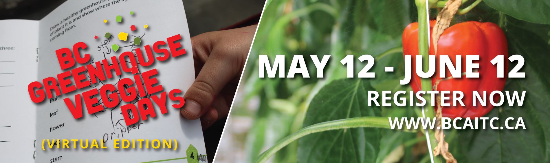 Register Now - BC Greenhouse Veggie Days (Virtual Edition)