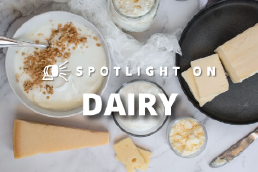 Spotlight on Dairy