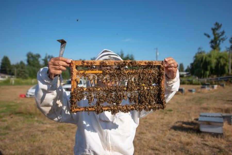 Spotlight on Honey: BC Honey Farm Tour