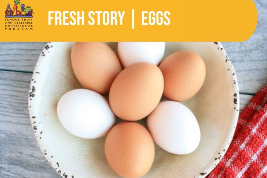 Fresh Story - Eggs - Primary