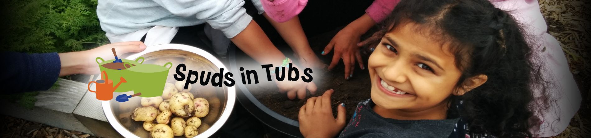 Spuds in Tubs