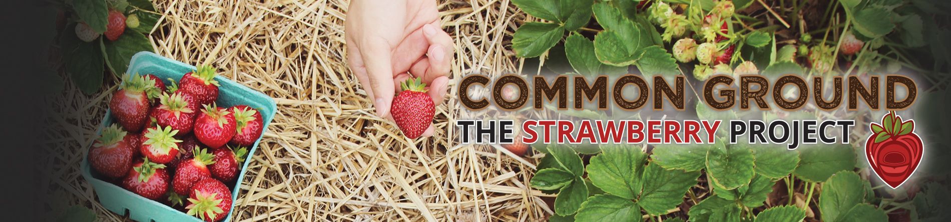 Common Ground: The Strawberry Project