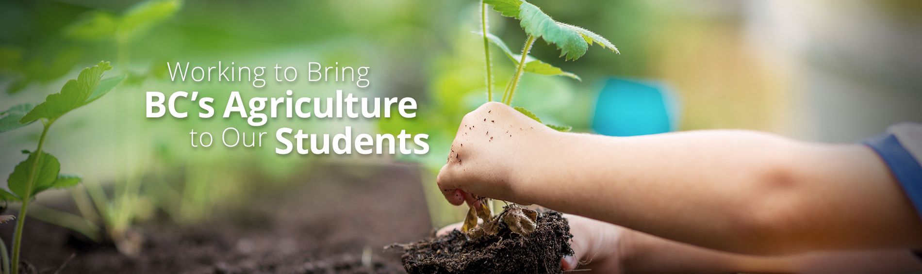 Homepage | BC Agriculture In The Classroom Foundation