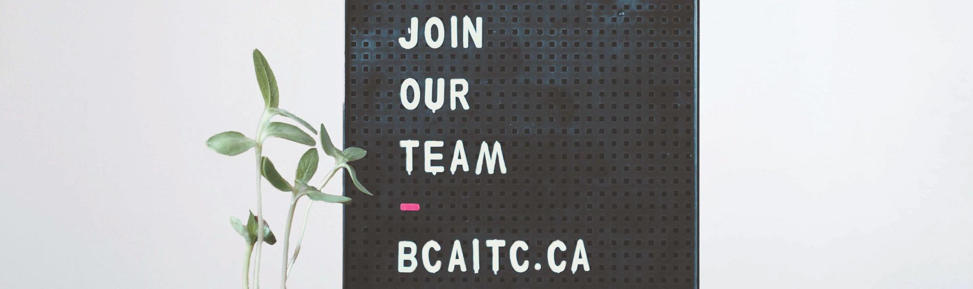 We are Hiring