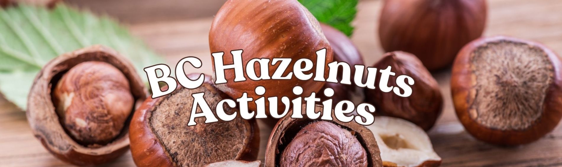 BC Hazelnut Vocabulary